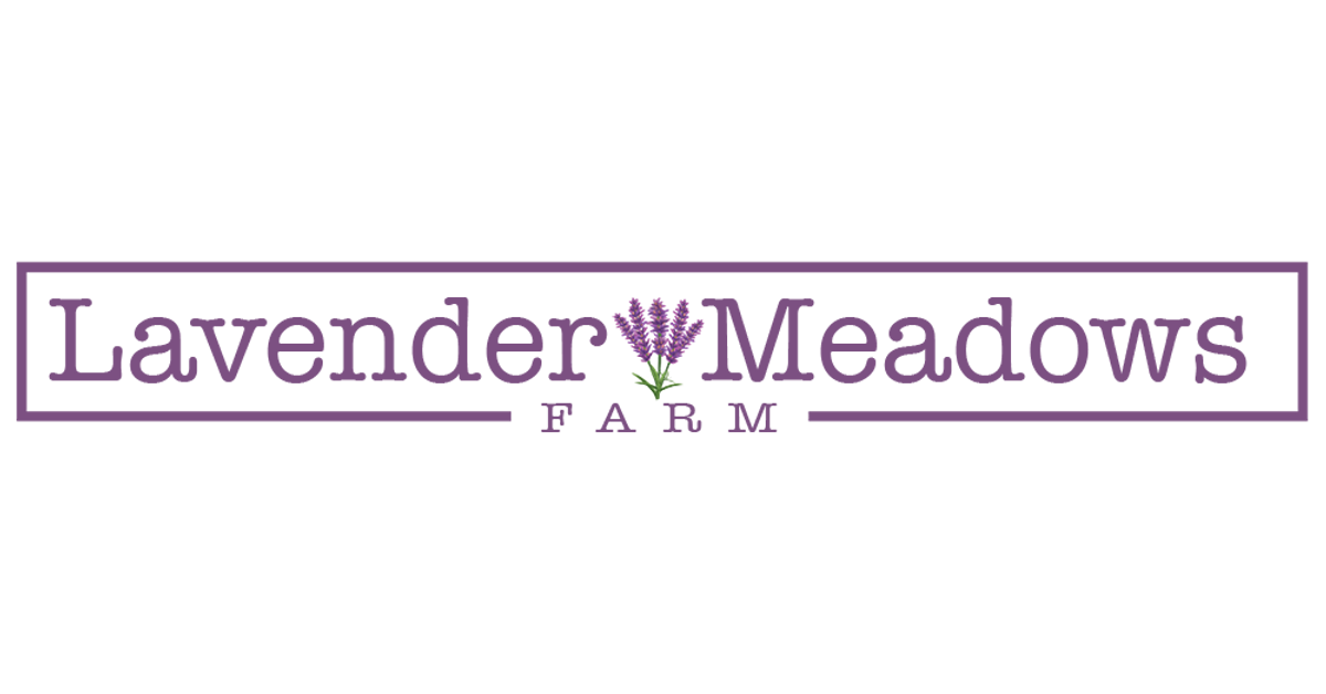 Culinary Lavender  Max Meadows Lavender Farm